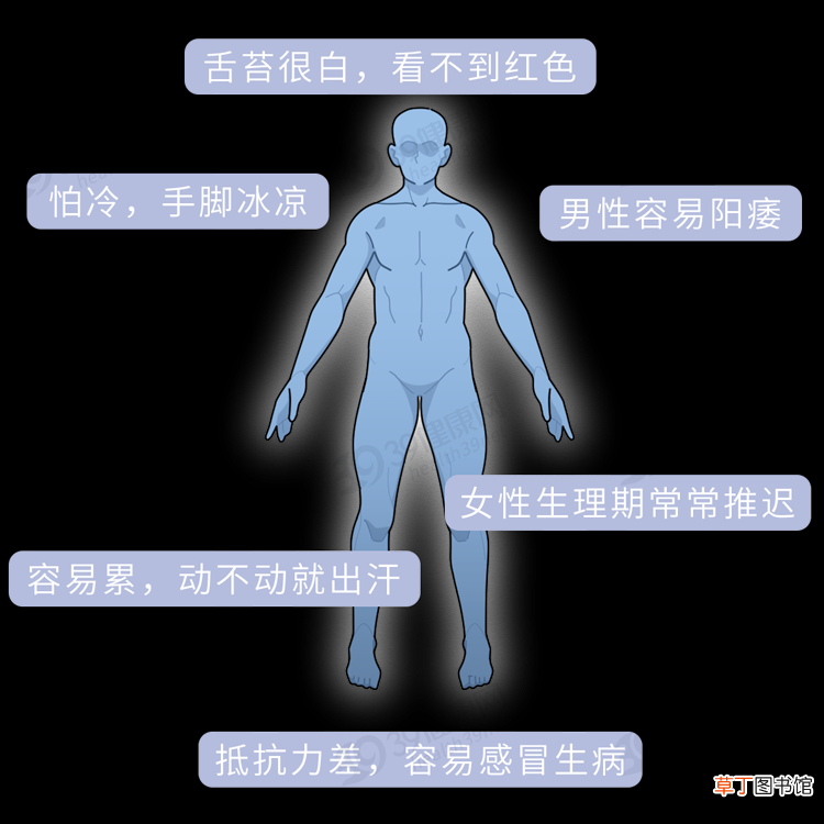 哪些是寒性食物，哪些是热性食物？这份「食物寒热属性表」很实用