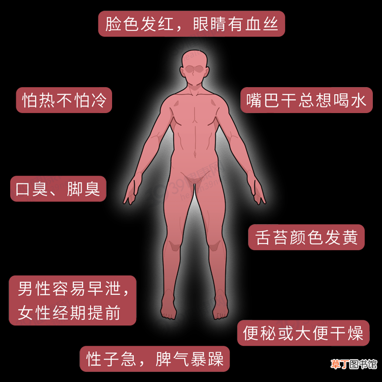 哪些是寒性食物，哪些是热性食物？这份「食物寒热属性表」很实用
