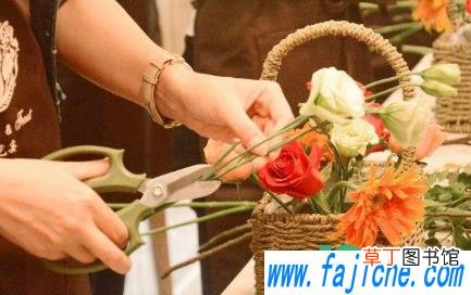 三八妇女节放假半天是法定假吗 三八妇女节有放假的规定吗