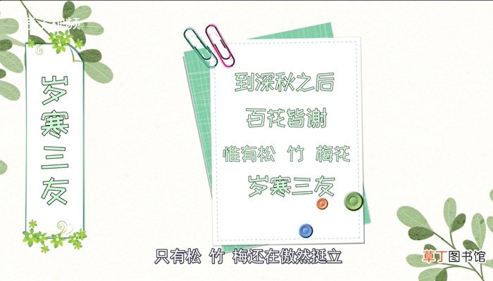 岁寒三友指的是