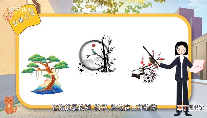 岁寒三友指的是