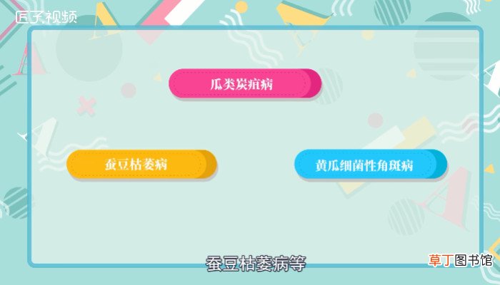 福尔马林是什么