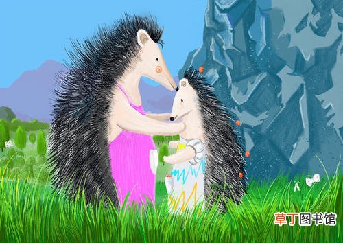 刺猬吃什么