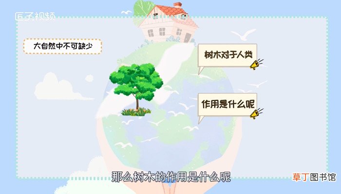 树木的作用