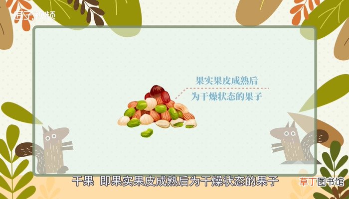 干果种类