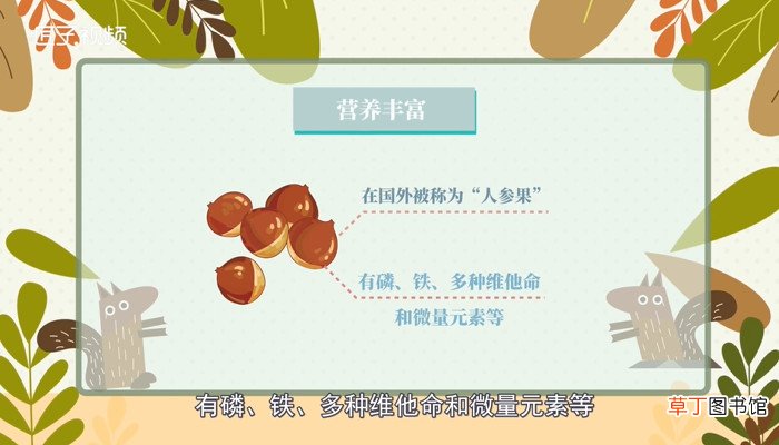 干果种类