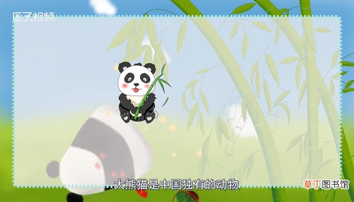 大熊猫为什么是国宝