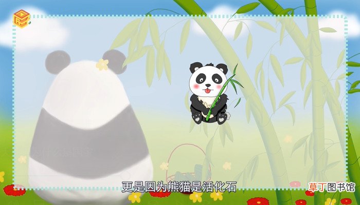 大熊猫为什么是国宝