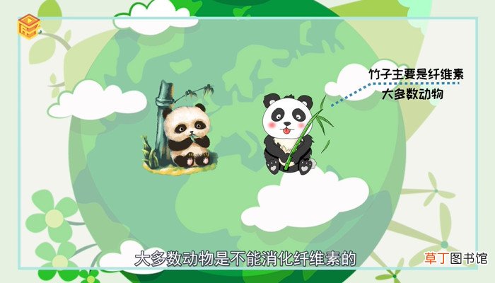 大熊猫为什么是国宝