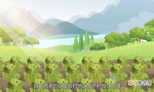 三农指的是什么