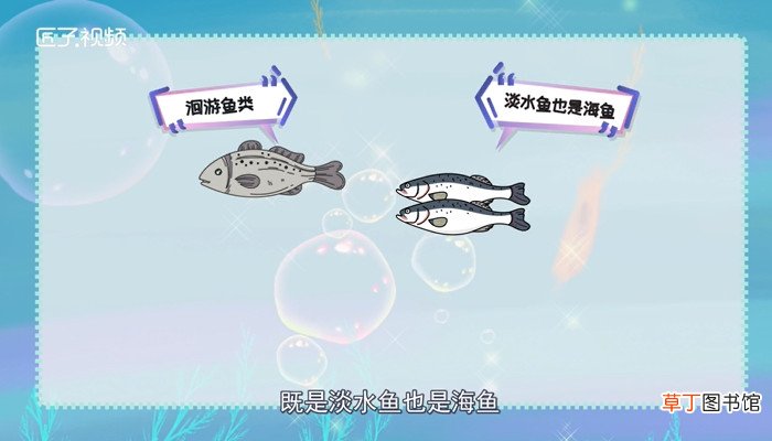 鲈鱼是海鱼吗