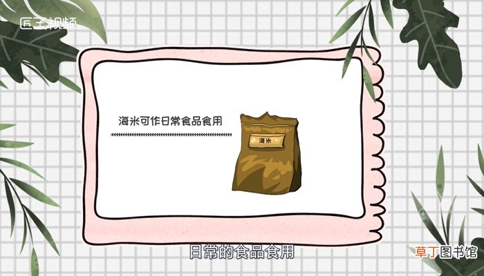 海米是什么