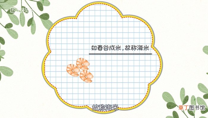 海米是什么