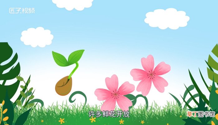 一年几个季度