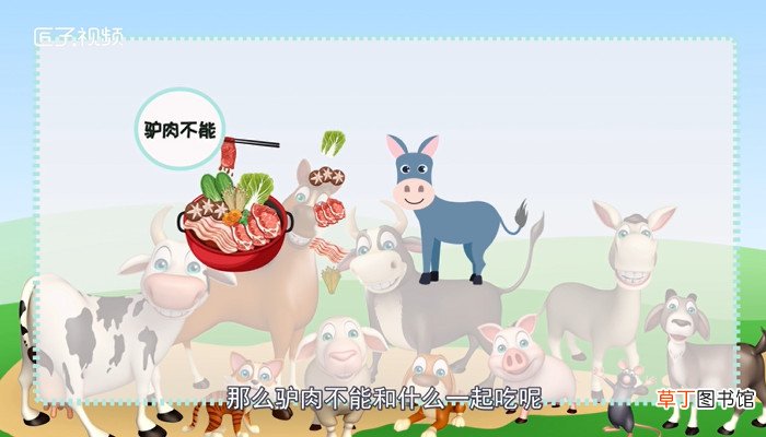 驴肉不能和什么一起吃