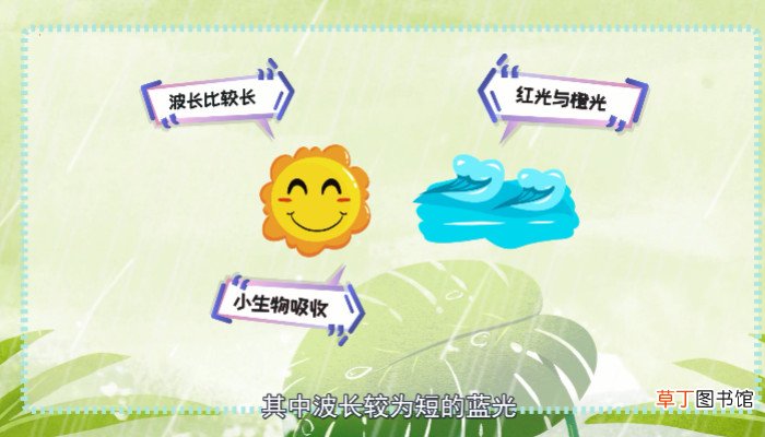 海为什么是蓝色的