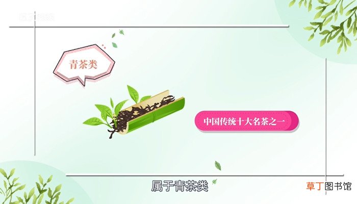 铁观音是什么茶