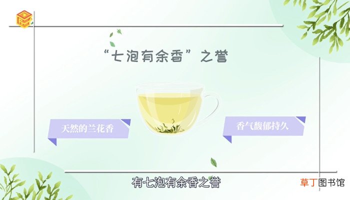 铁观音是什么茶