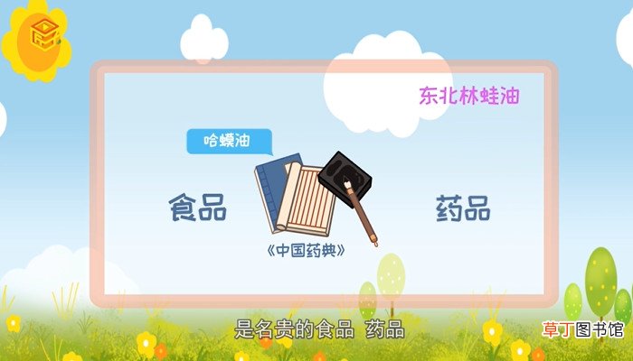雪蛤是什么
