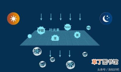 竹炭包使用寿命 炭包可以用多久