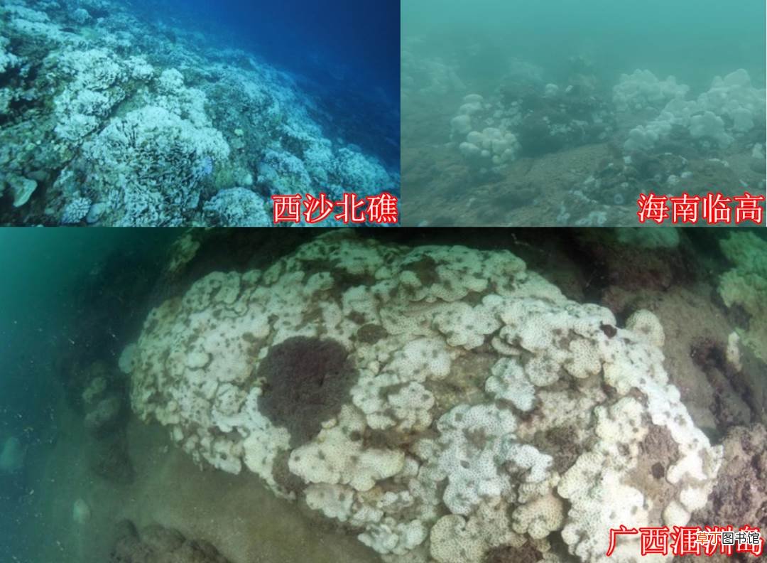 《中国气候变化蓝皮书》：极端天气气候事件风险进一步加剧