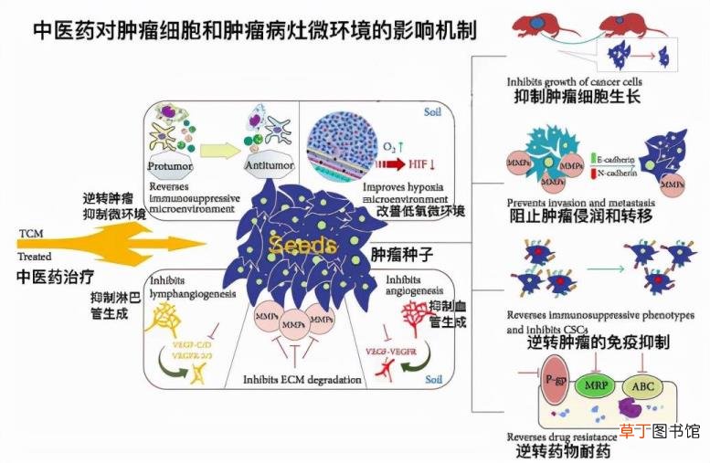 肠癌终末期太痛苦了 晚期肠癌能活多久