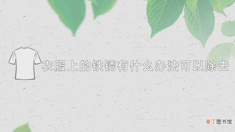 衣服上的铁锈有什么办法可以除去