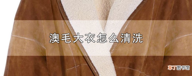 澳毛大衣怎么清洗