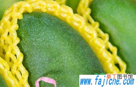 青芒没熟切开了咋办 青芒切开太生了怎么办