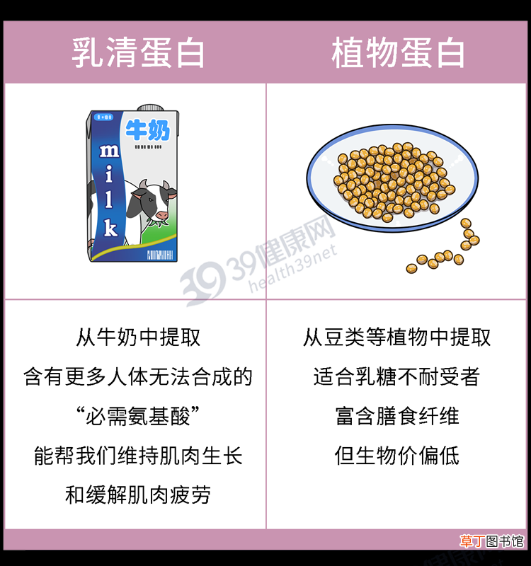 想锻炼成肌肉男，每天至少要吃多少蛋白质？一个公式简单算一算