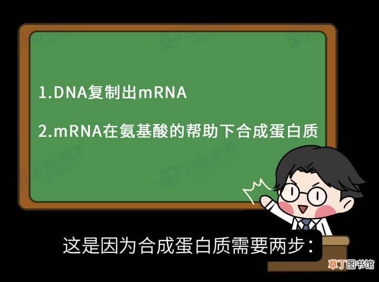 想锻炼成肌肉男，每天至少要吃多少蛋白质？一个公式简单算一算