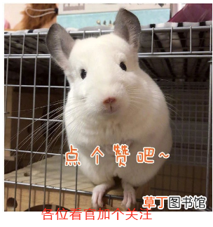 iphonex死机重启方法 苹果x重启方法