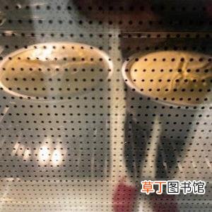 6寸戚风蛋糕180度烤多少分钟 6寸蛋糕烤多久