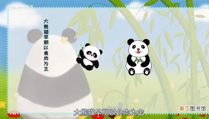 大熊猫吃肉吗