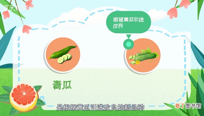 火把节是几月几日