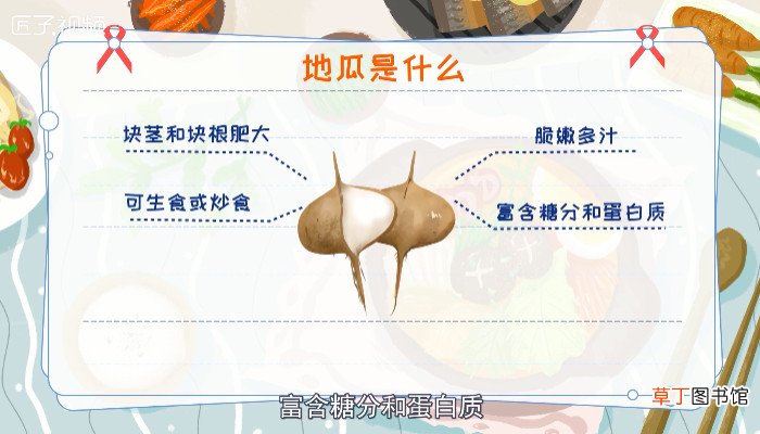 地瓜是什么