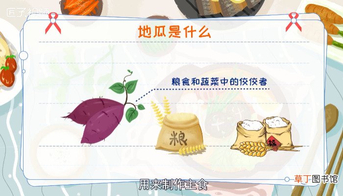 地瓜是什么
