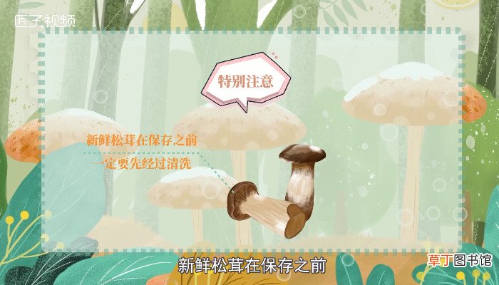 松茸的保存