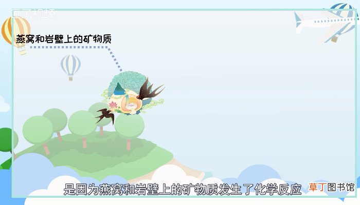 血燕是什么