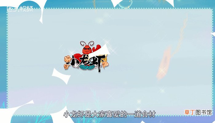 小虾吃什么