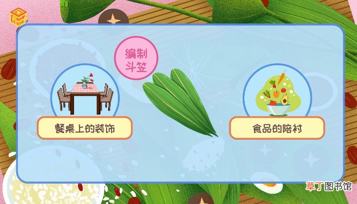 包粽子的叶子叫什么