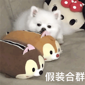 朋友圈是一条横线是拉黑还是删除 朋友圈是一条横线