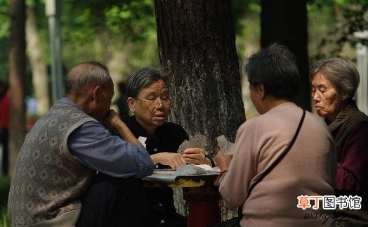 适合老人培养的兴趣爱好 想开心快乐全靠自己去寻找
