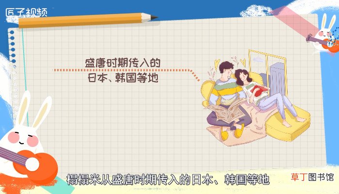榻榻米是什么