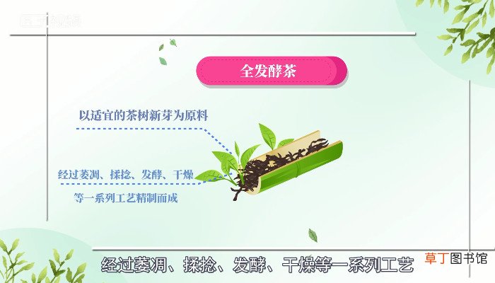 红茶的种类