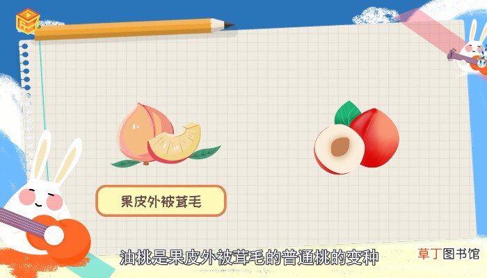 油桃的热量