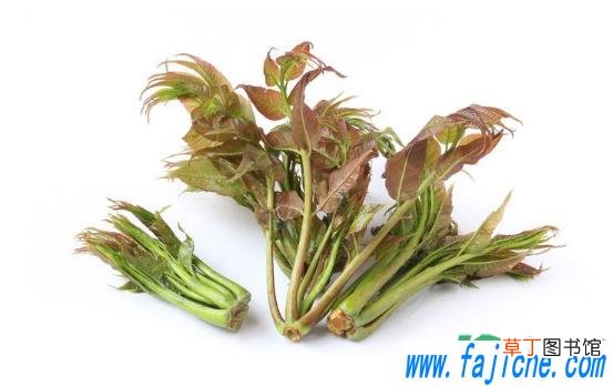 腌香椿用粗盐还是细盐 腌香椿用什么盐好