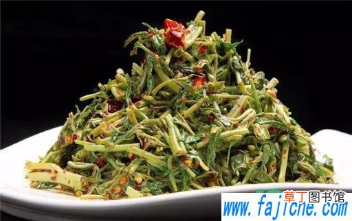 腌香椿用粗盐还是细盐 腌香椿用什么盐好