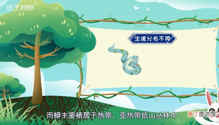 蚺和蟒的区别
