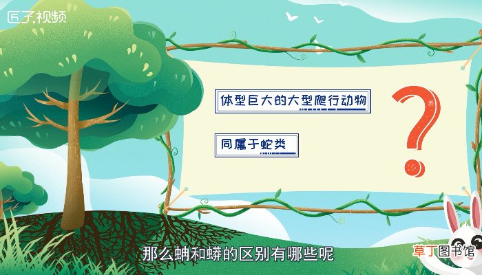 蚺和蟒的区别